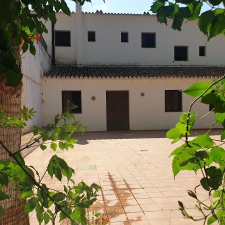 Apartamentos Vilo, Axarquia Rural Los Baños de Vilo Dış mekan fotoğraf